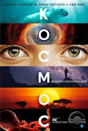 Космос: Пространство и время / Cosmos: A Spacetime Odyssey (2014)
