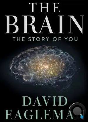 Мозг с Дэвидом Иглменом / The Brain with Dr. David Eagleman (2015) L1