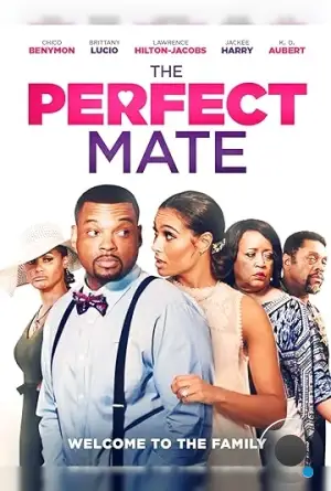 Идеальный партнёр / The Perfect Mate (2020)