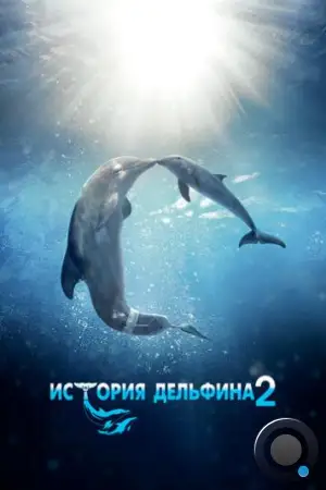 История дельфина 2 / Dolphin Tale 2 (2014)