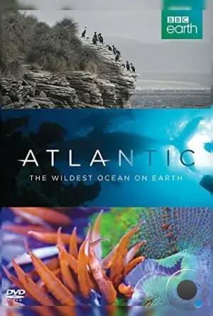Атлантика: Самый необузданный океан на Земле / Atlantic: The Wildest Ocean on Earth (2015)