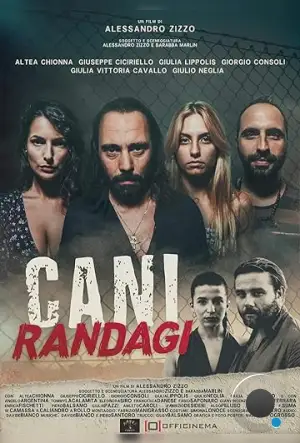 Бродячие псы / Cani randagi (2023)