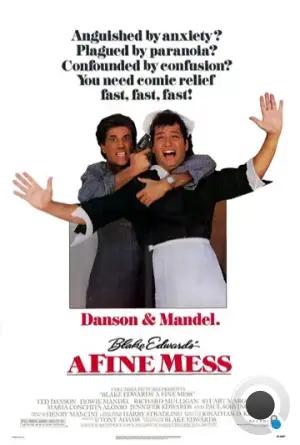 Передряга / A Fine Mess (1986)