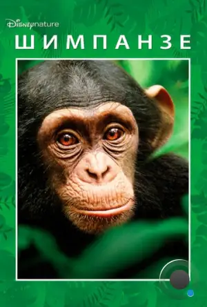 Шимпанзе / Chimpanzee (2012)