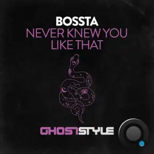  Bossta - Never Knew You Like That (2024) 