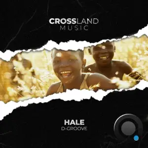  D-Groove - Hale (2024) 