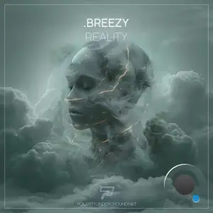  breezy - Reality (2024) 