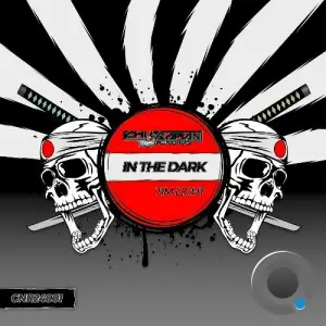Tim Light - In The Dark (2024)