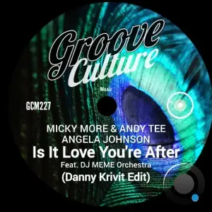  Micky More and Andy Tee ft Angela Johnson - Is It Love Youre After (Danny Krivit Edit) (2024) 