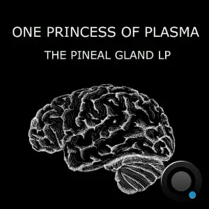  One Princess Of Plasma - The Pineal Gland LP (2024) 