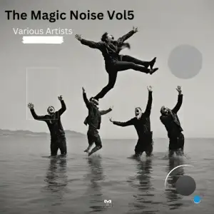  The Magic Noise, Vol. 5 (2024) 