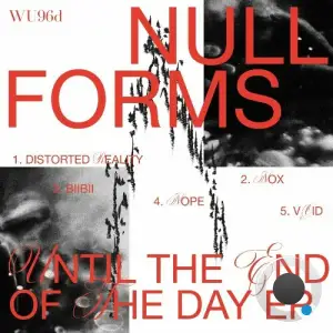  Null Forms - Until The End Of Day (2024) 
