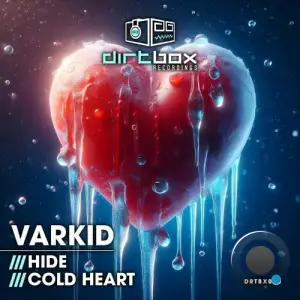  Varkid - Hide / Cold Heart (2024) 