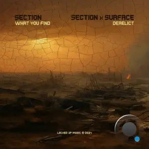  Section & Surface - What You Find / Derelict (2024) 