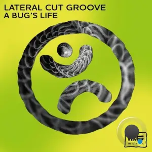  Lateral Cut Groove - A Bug's Life (2024) 