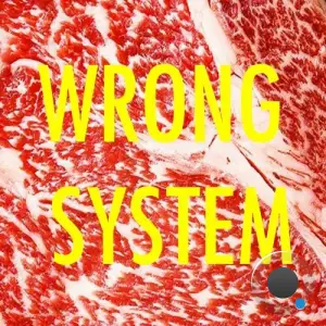  Tronik Youth - Wrong System (2024) 