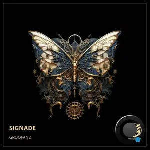  Groofand - Signade (2024) 