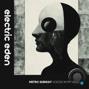  Metro Subway - Voices in My Head (2024) 