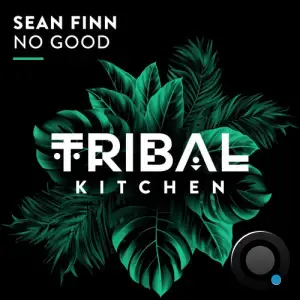  Sean Finn - No Good (2024) 