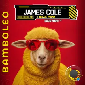  James Cole - Good Night Ep (2024) 
