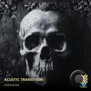  Tiger Musik - Acustic Transition (2024) 