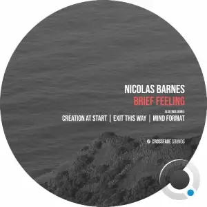  Nicolas Barnes - Brief Feeling (2024) 