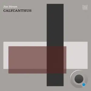  Jim Rivers - Calycanthus (2024) 