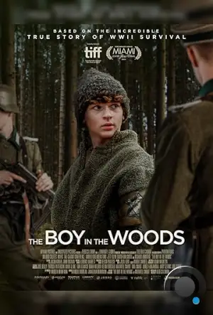 Мальчик в лесу / The Boy in the Woods (2023)