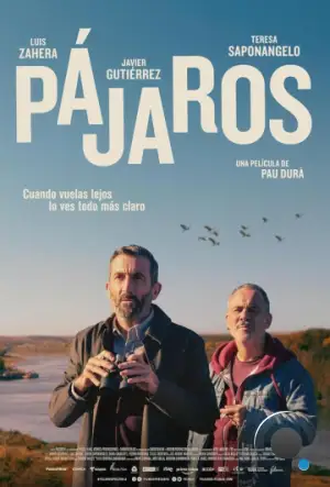 Птицы / Pájaros (2024)