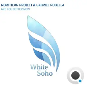  Northern Project & Gabriel Robella - Are You Better Now? (2024) 
