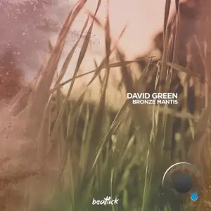  David Green - Bronze Mantis (2024) 