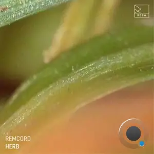  Remcord - Herb (2024) 