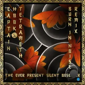  Captain Hook & Tetrameth - The Ever Present Silent Observer (Burn In Noise Remix) (2024) 