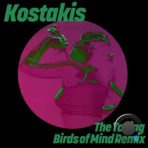  Kostakis - The Taking (Birds of Mind Remix) (2024) 