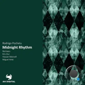  Rodrigo Pochelu - Midnight Rhythm (2024) 