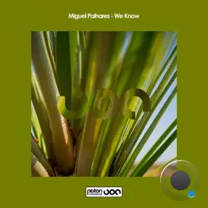  Miguel Palhares - We Know (2024) 