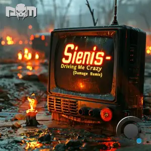  Sienis - Driving Me Crazy (Damage Remix) (2024) 
