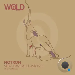  Notron - Shadows and Illusions (2024) 