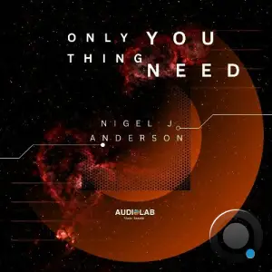  Nigel J Anderson - Only Thing You Need (2024) 