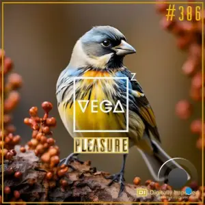  Vega Z - Pleasure 386 (40th Birthday Anniversary) (2024-07-03) 