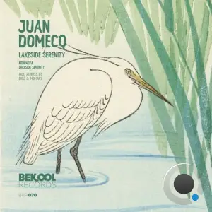  Juan Domecq - Lakeside Serenity (2024) 