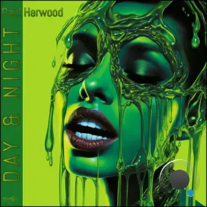  Paul Harwood - Day & Night-SINGLE (2024) 