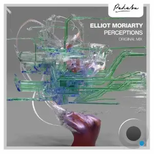  Elliot Moriarty - Perceptions (2024) 