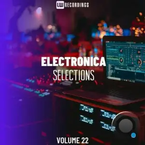  Electronica Selections, Vol. 22 (2024) 