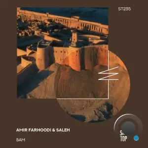 Amir Farhoodi & Saleh - Bam (2024) 