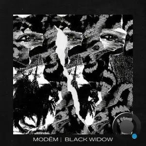  Modem - Black Widow (2024) 