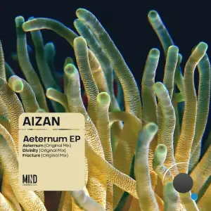  Aizan - Aeternum (2024) 
