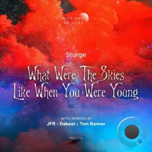  Sturge - What Were the Skies Like When You Were Young (2024) 