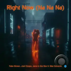  FABE BROWN x Joel Coopa x Jane In The Box x Max Edwards - Right Now (Na Na Na) (2024) 