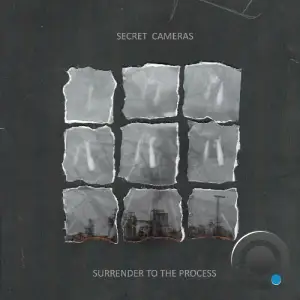  Secret Cameras - Surrender To The Process (2024) 